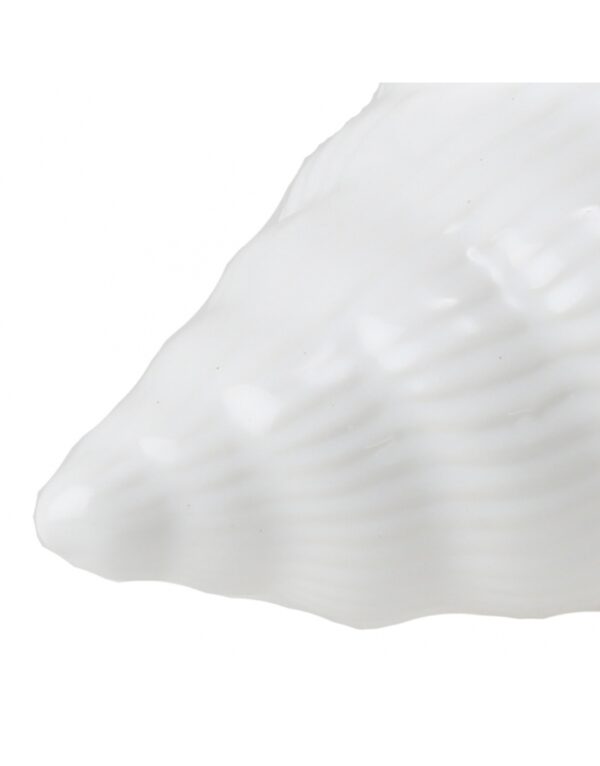 CARACOLA BLANCA