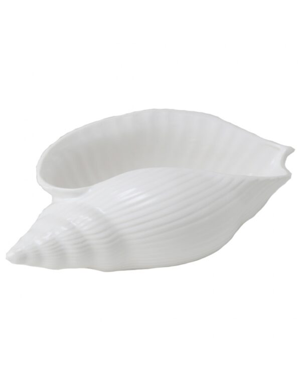 CARACOLA BLANCA