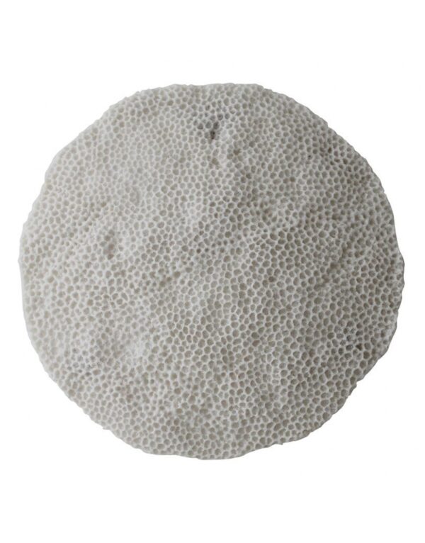 PLACA CORAL BLANCO
